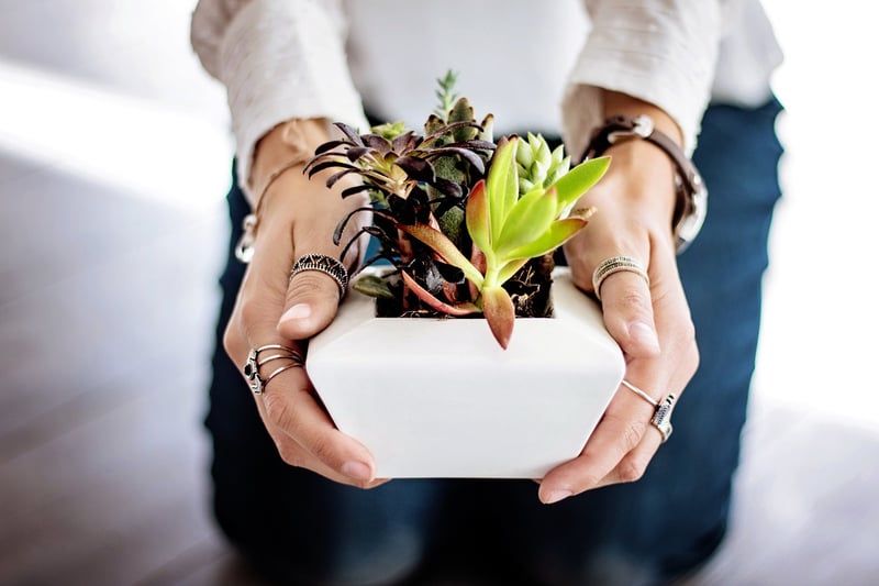 Upcycled Plant Pots
